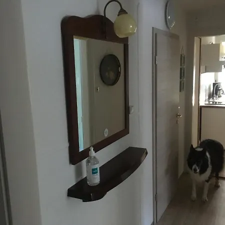 Haus Silberdistel Lägenhet Todtmoos