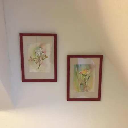 Apartamento Haus Silberdistel Todtmoos