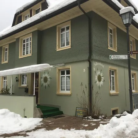 Haus Silberdistel Todtmoos