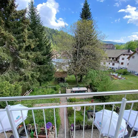 Haus Silberdistel Todtmoos