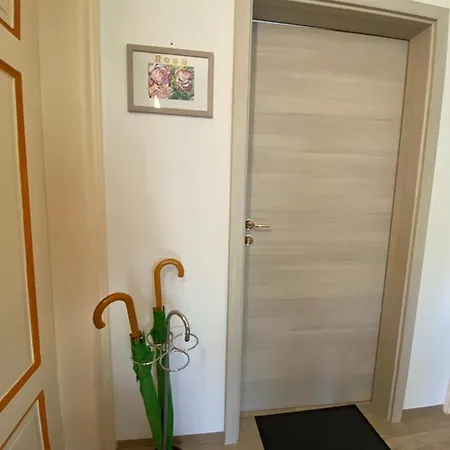 Haus Silberdistel Apartment Todtmoos