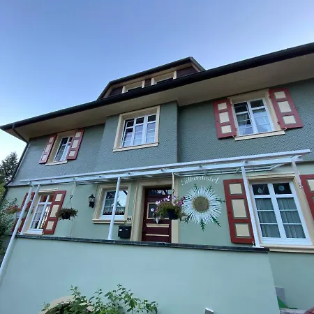 Haus Silberdistel Lägenhet Todtmoos