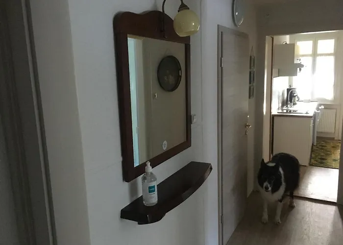 Haus Silberdistel Daire Todtmoos