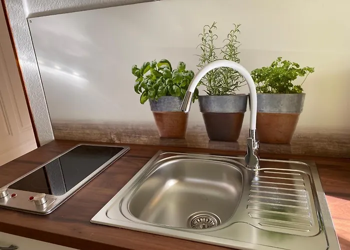 Haus Silberdistel Todtmoos