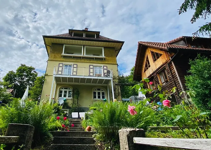 Haus Silberdistel Daire *