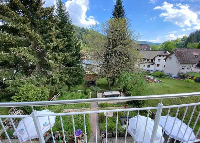 Haus Silberdistel Todtmoos