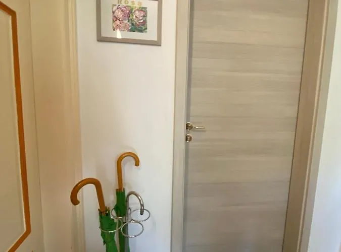 Haus Silberdistel Daire Todtmoos